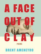 cover of A Face Out of Clay