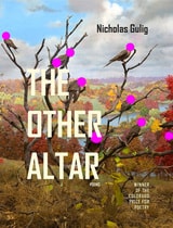 cover of The Other Altar