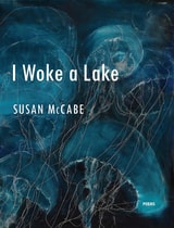cover of I Woke a Lake