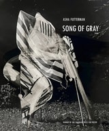 cover of Song of Gray