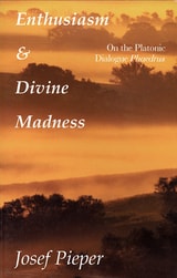 cover of Enthusiasm And Divine Madness
