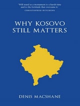 cover of Why Kosovo Matters