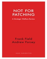 cover of Not for Patching: A Strategic Welfare Review