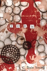 cover of Torn