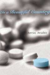 cover of In a Beautiful Country