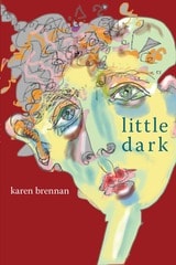 cover of little dark