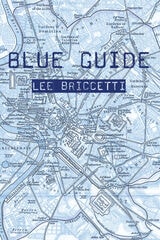 cover of Blue Guide