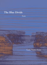 cover of The Blue Divide: Poems
