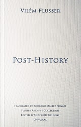cover of Post-History