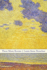 cover of These Many Rooms