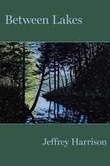 cover of Between Lakes