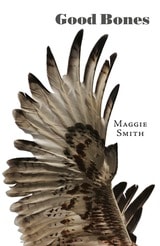 cover of Good Bones