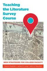 cover of Teaching the Literature Survey Course: New Strategies for College Faculty