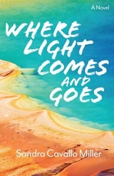 cover of Where Light Comes and Goes: A Novel