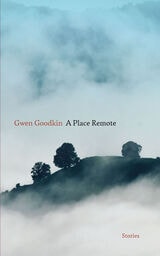 cover of A Place Remote: Stories