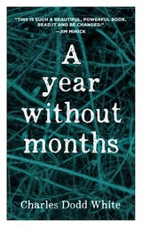 cover of A Year without Months