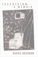 cover of Television, a memoir