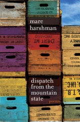 cover of Dispatch from the Mountain State: Poems