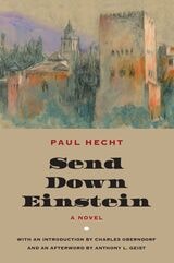 cover of Send Down Einstein