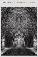 cover of The Radiant