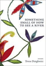cover of Something Small of How to See a River