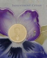 cover of Indifferent Cities
