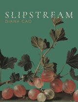 cover of Slipstream