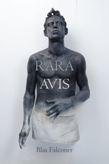 cover of Rara Avis