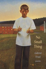 cover of No Small Thing