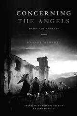 cover of Concerning the Angels