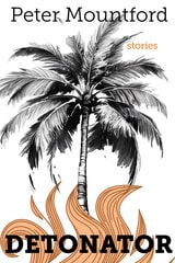 cover of Detonator: Stories