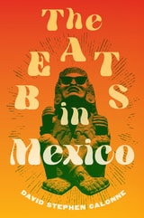 cover of The Beats in Mexico