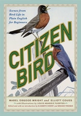 cover of Citizen Bird: Scenes from Bird-Life in Plain English for Beginners, A Critical Edition