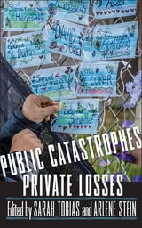 cover of Public Catastrophes, Private Losses