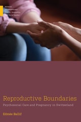 cover of Reproductive Boundaries: Psychosocial Care and Pregnancy in Switzerland