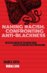 cover of Naming Racism, Confronting Anti-Blackness: Mexican American Transnational Racialization and Coalition Building