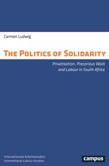 cover of The Politics of Solidarity: Privatisation, Precarious Work and Labour in South Africa