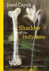 cover of Shadow of the Holly-Fern