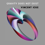 cover of Gravity Does Not Exist: A Puzzle for the 21st Century