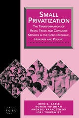 cover of Small Privatization: The Transformation of Retail Trade and Consumer Services in the Czech Republic, Hungary and Poland