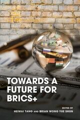 cover of Towards a Future for BRICS+