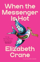 cover of When the Messenger Is Hot: Stories