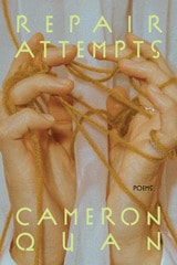 cover of Repair Attempts: Poems