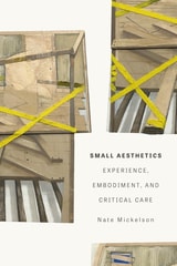 cover of Small Aesthetics: Experience, Embodiment, and Critical Care
