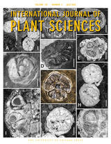 recently-published book cover