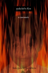 front cover of Gabriel's Fire