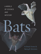 front cover of Bats