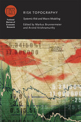 front cover of Risk Topography