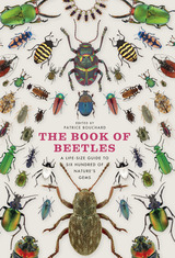 front cover of The Book of Beetles