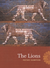 front cover of The Lions